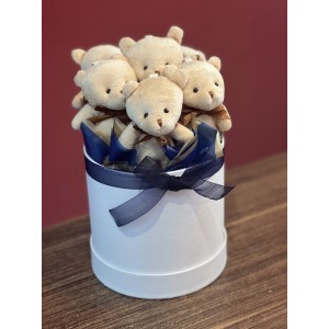 Peluş ayı kutusu